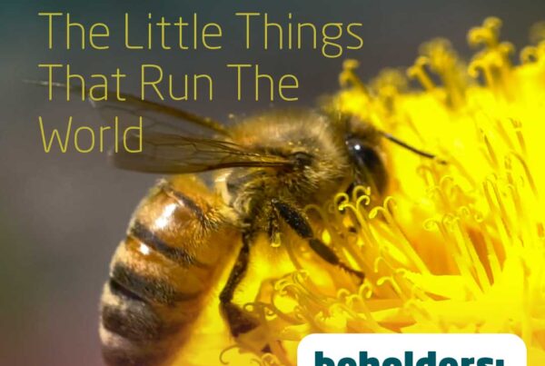 The Little Things That Run The World - Beholders 2025